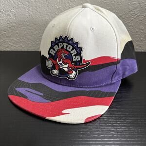 Mitchell & Ness Men's Toronto Raptors Hardwood Classics Paintbrush Snapback Cap